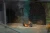 avd-lithex-koc-sredni-2.webp